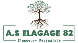 Stimbach Elagage